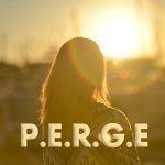 2. December P.E.R.G.E Seminar Registration